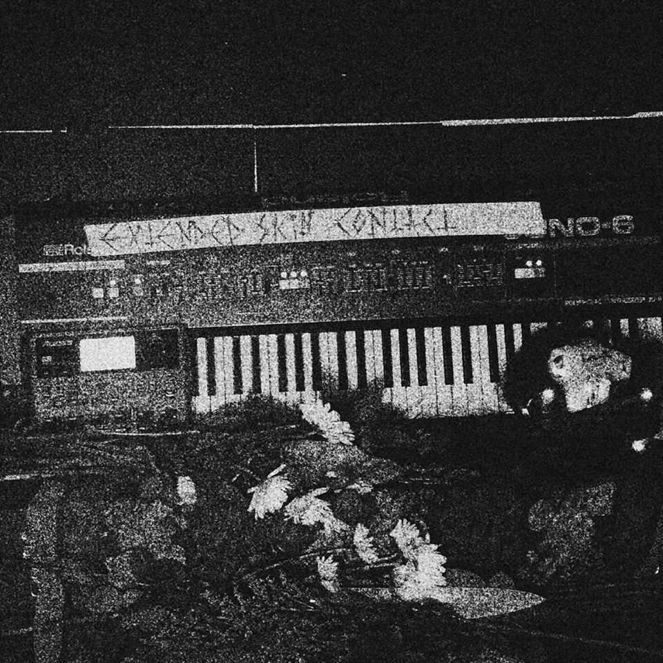 Skating Polly / Critical Shakes (EUG) / Teton (PDX) / Extended Skin