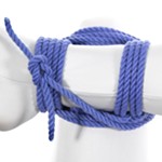 Bondage+for+Immobilization