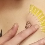 Straight+to+the+Point%3A+An+Introduction+to+Play+Piercing