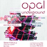 Opal+Underground%3A+Your+Disco+Needs+You